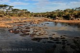 Tanzánie - NP Serengeti