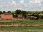 Botswana 1 - všude písek, přípravy na vánoce a voda v benzínu