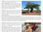 POUTNÍK.CZ - Škoda Octavia OKI překonala Afriku