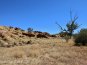 Austrálie 04 - Alice Springs a Uluru, srdce Rudého středu