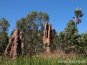 Austrálie 08 - osvěžující rock holes, předražená neschopnost v Darwinu a Kakadu