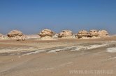 White desert
