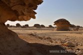 White desert