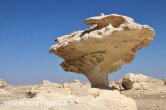White desert