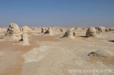 White desert