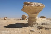 White desert