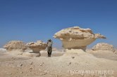 White desert