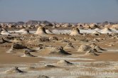 White desert