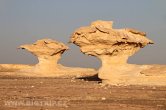 White desert