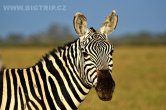 Keňa - NP Amboseli