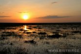 Keňa - NP Amboseli