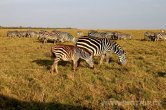 Keňa - NP Amboseli