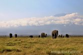 Keňa - NP Amboseli