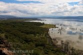 Keňa - NP Nakuru