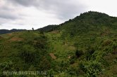 Uganda - Kisoro - NP Bwindi