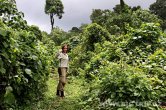 Uganda - Kisoro - NP Bwindi