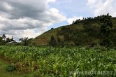 Uganda - Kisoro