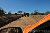 Tanzánie - NP Serengeti