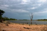 Zimbabwe - NP Hwange
