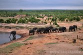Zimbabwe - NP Hwange