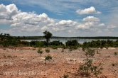 Zimbabwe - NP Hwange
