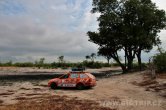 Zimbabwe - NP Hwange