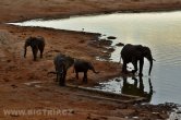 Zimbabwe - NP Hwange