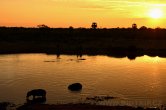 Zimbabwe - NP Hwange