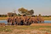 Zimbabwe - NP Hwange