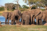 Zimbabwe - NP Hwange
