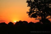 Zimbabwe - NP Hwange