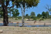 Zimbabwe - NP Hwange