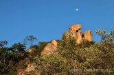 Zimbabwe - NP Matabos