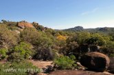 Zimbabwe - NP Matabos
