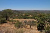 Zimbabwe - NP Matabos