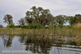 Botswana - Okavango delta