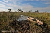 Botswana - Okavango delta
