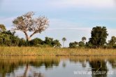 Botswana - Okavango delta