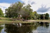 Botswana - Okavango delta - Boro