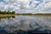 Botswana - Okavango delta