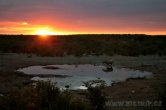 Namibia - NP Etosha
