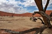 Namibie - NP Namib - Sossusvlei