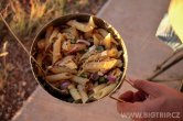 Penne s tuňákem :-)