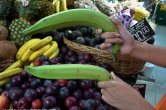 Plantain - zeleninové banány