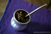 Maté