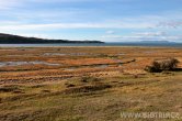 Chile - Punta Arenas