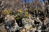 Chile - Torres del Paine