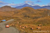 Chile - Torres del Paine