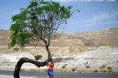 Izrael
