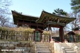 Jižní Korea - Soul - Changgyeonggung palace - Secret Garden